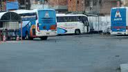 Leitor BNews