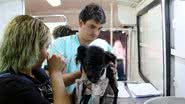 Imagem Médico-veterinário: profissional fundamental para a saúde de todos