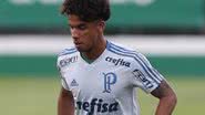 Cesar Greco/Ag.Palmeiras/Divulgação