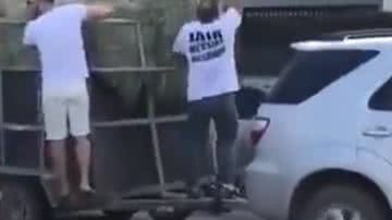 Reprodução