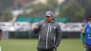 Sirli Freitas/Chapecoense