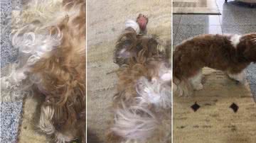 Reprodução // Youtube