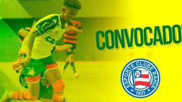 Divulgação / ECBahia