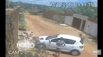 Reprodução