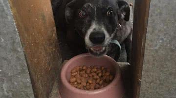 Reprodução / Facebook