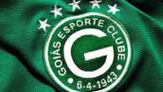 Imagem Fora de casa, Goiás vence e garante seu retorno à Série A