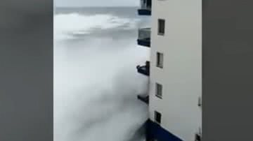 Reprodução