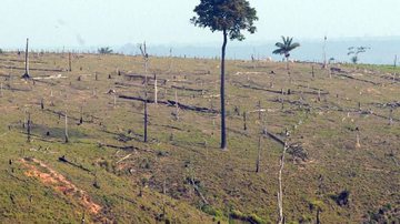 Arquivo/Agência Brasil