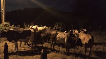 Divulgação SSP-BA