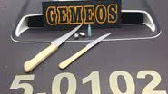 Divulgação