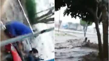 Reprodução