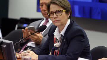 Câmara de Deputados