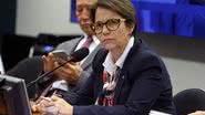 Câmara de Deputados