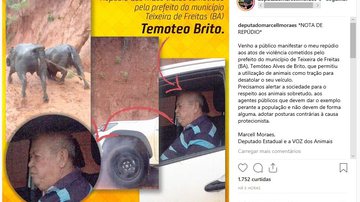 Divulgação