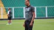 Divulgação/ Vinicius Nunes / FFC