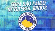 Divulgação/Jacobina
