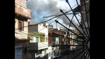 Reprodução