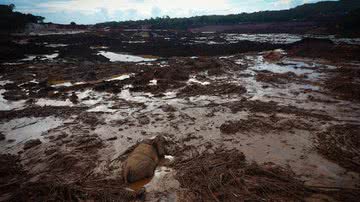 Futura Press/Folhapress