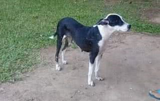 Reprodução/Facebook