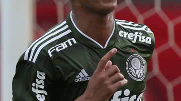 Divulgação/Palmeiras