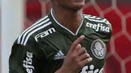 Divulgação/Palmeiras