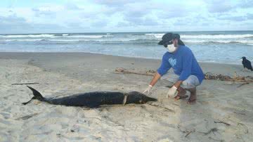 Divulgação/Projeto (a)Mar