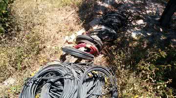 Divulgação