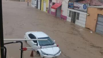 Leitor BNews