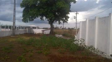 Reprodução / Amargosa News