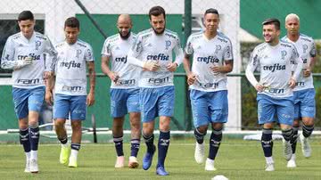 Cesar Greco / Ag Palmeiras
