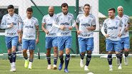 Cesar Greco / Ag Palmeiras