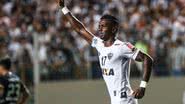Bruno Cantini/Atlético-MG