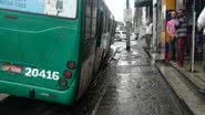 Leitor/BNews