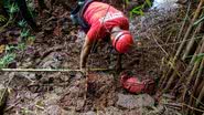 Divulgação/Corpo de Bombeiros de Minas Gerais