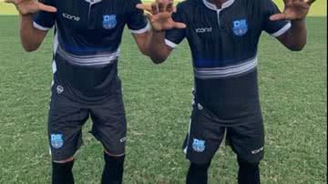 Divulgação