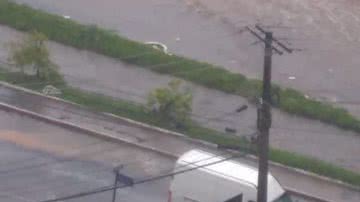 Leitores/BNews
