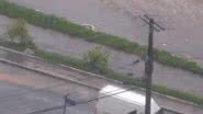 Leitores/BNews