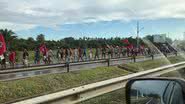 Leitor/BNews