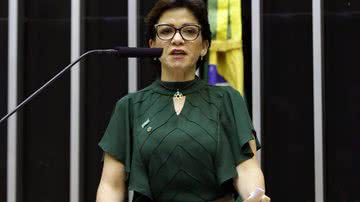 Najara Araujo/Câmara dos Deputados