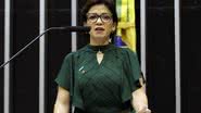 Najara Araujo/Câmara dos Deputados