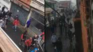Reprodução