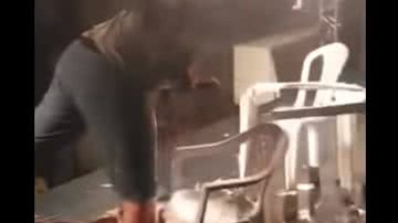 Divulgação