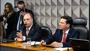 Reprodução/ Senado Federal