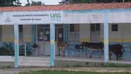 Reprodução
