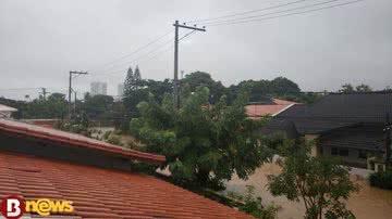 Divulgação
