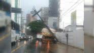 Divulgação/Transalvador