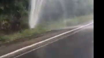 Divulgação/Redes Sociais