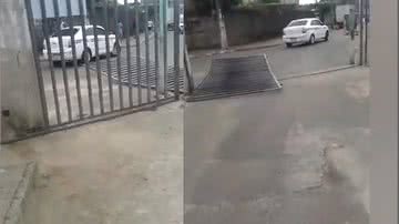 reprodução