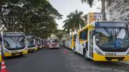 Divulgação/Assessoria