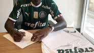 Divulgação / Palmeiras